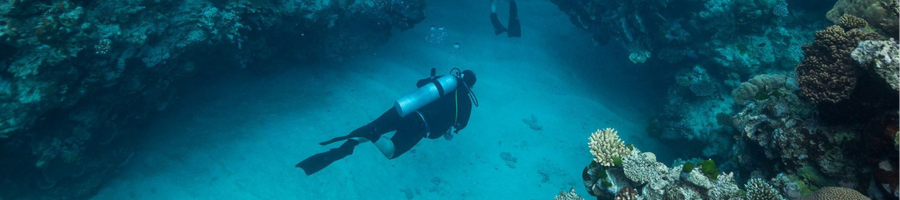 Scuba Diver Great Barrier Reef