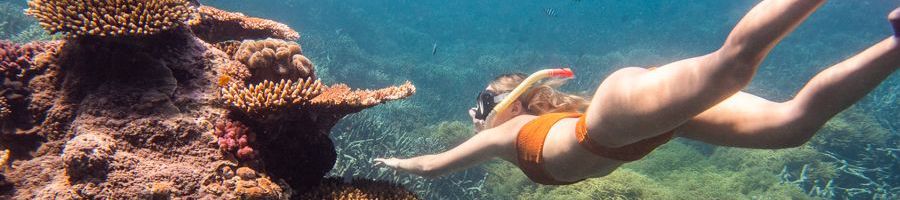 girl snorkelling alongside corals in the great barrier reef
