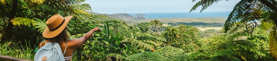 Cape Tribulation scenic lookout