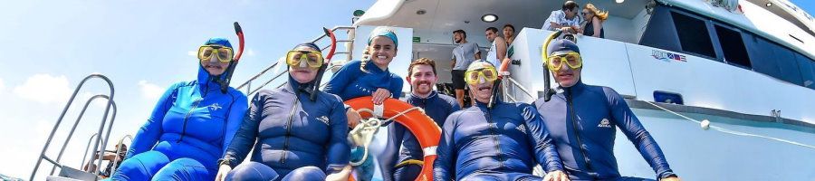 Group of people wearing lycra suits and snorkel masks on the Great Barrier Reef