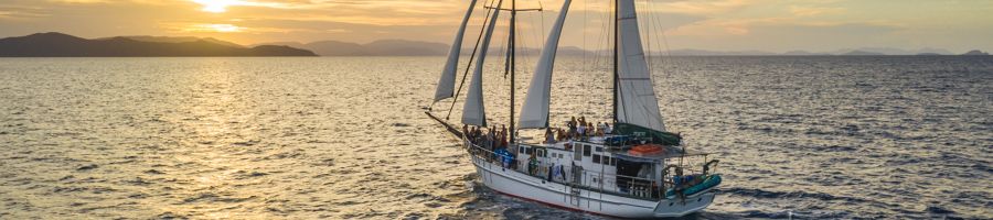 new horizon, sailing, sunset