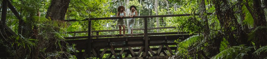 two girls standing on a bridge in the rainforest