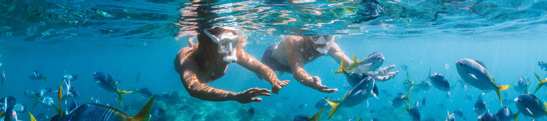 a man and a woman snorkelling with a school of fish