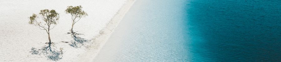 trees on the white sand of lake mckenzie