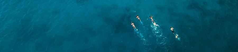 four snorkellers swimming in the blue whitsunday water