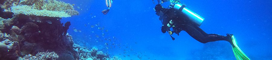 Scuba diver underwater photo in deep blue ocean next to coral garden and many tropical fish 