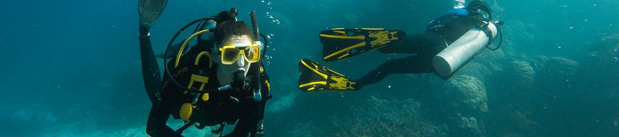 Two scuba divers diving in the sea along the East Coast of Australia