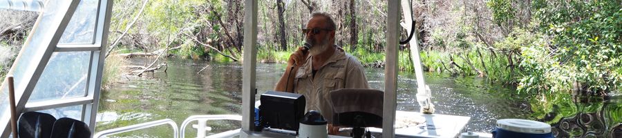 noosa everglades tour