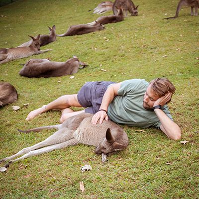 Man laying next to a Kangaroo in a grass area surrounded by more kangaroos