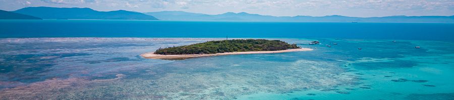 aerial view of green island surrounded by reef near cairns