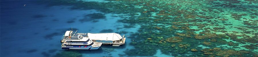 great adventures outer reef pontoon next to corals