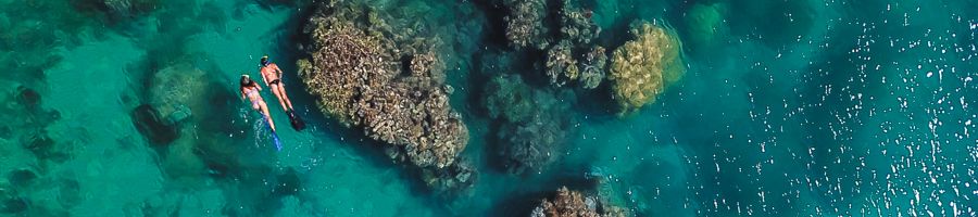 Reefs and snorkellers from above