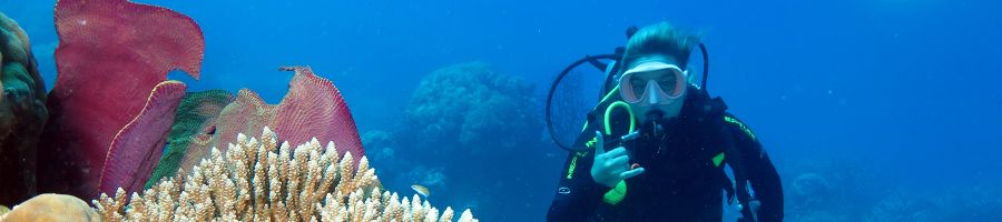 girl scuba diving next to pink coral reefs underwater