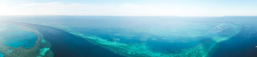 Outer reef panorama 