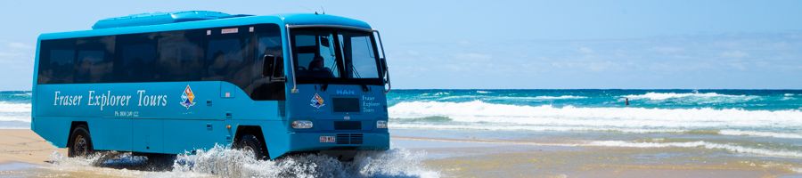 fraser explorer bus