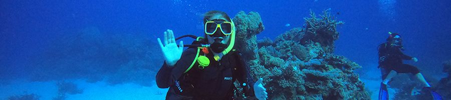 Scuba diver in the Great Barrier Reef