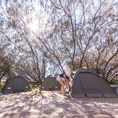 Camping tents in the sand under trees