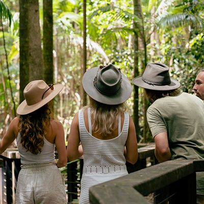 Group of three travellers in the forest looking over a lookout point