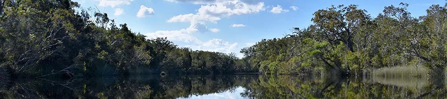 Glassy waters of the Noosa Everglades
