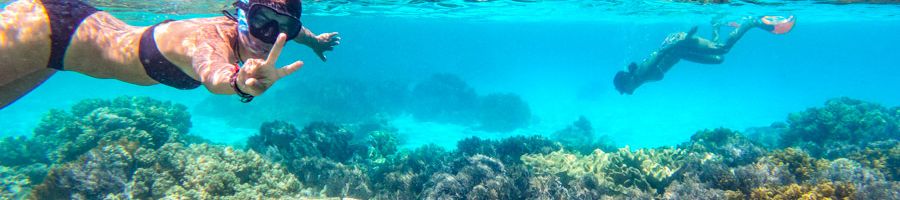 snorkellers swimming in the great barrier reef