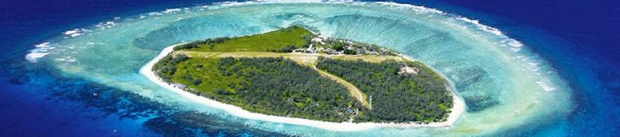 aerial view of lady elliot island and great barrier reef