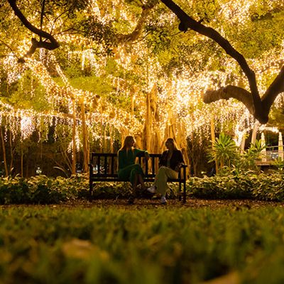 Two women sitting under a tree of twinkle lights in Brisbane city