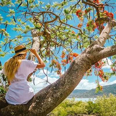 Girl in a tree with red flowers looking at the beach