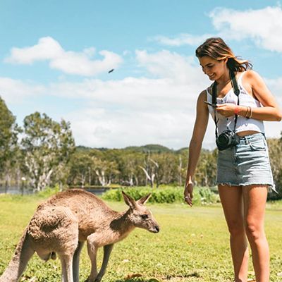 Kangaroo and a backpacker