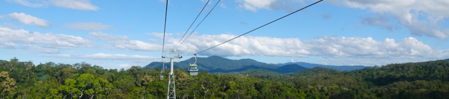 View of the rainforest and mountains from inside the Skyrail cable acar