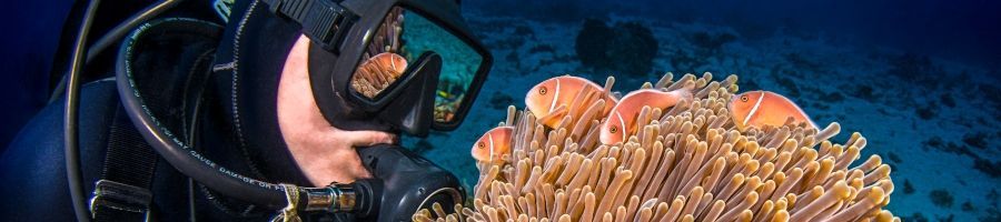Reef Encounter Liveaboard Tour, Cairns Tours