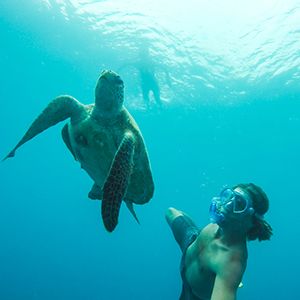 Man snorkelling with a turtle in the Great Barrier Reed