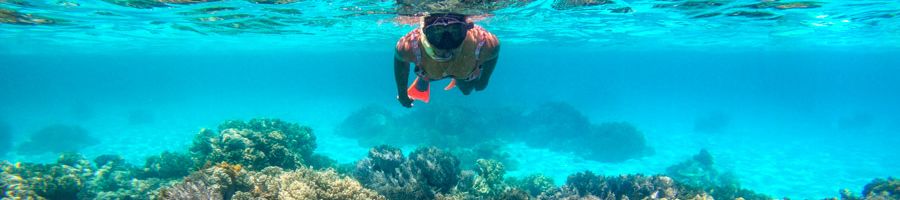 Frankland Islands Reef Cruise, Cairns Tours