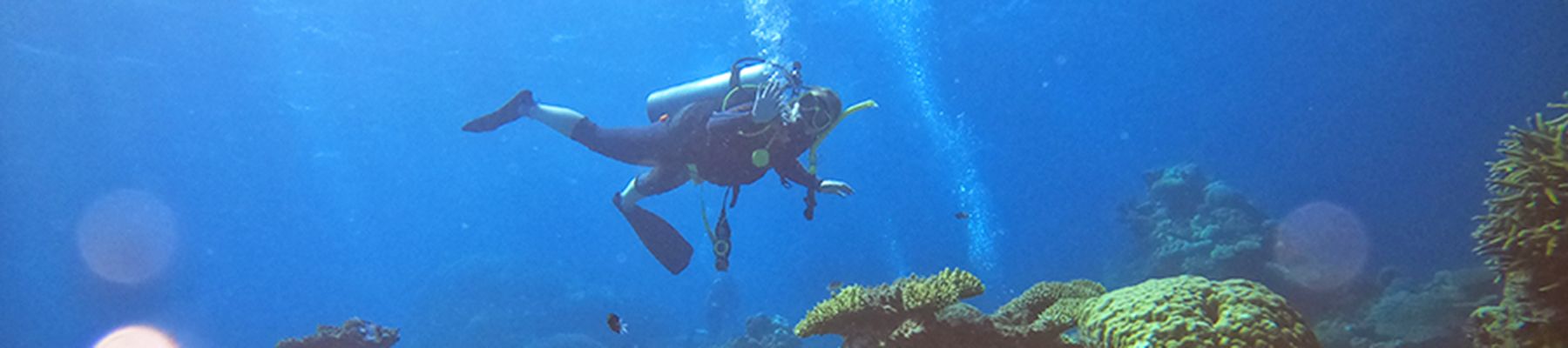 Underwater shot of a scubadiver exploring abundant coral 