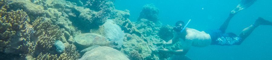 A man wearing a snorkel underwater while looking at coral reef