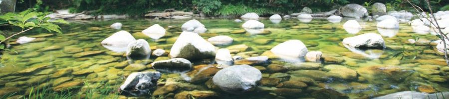 Rock pools at Mossman Gorge, Daintree National Park