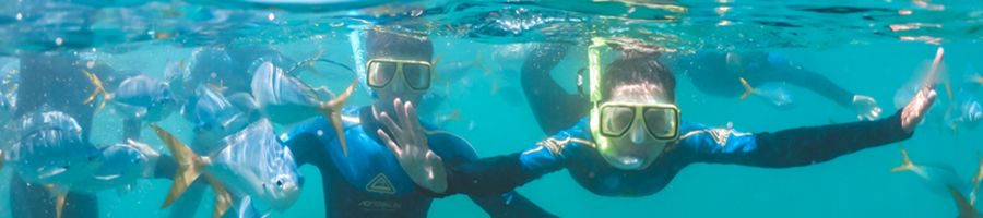 Two children wearing stinger suits snorkelling amongst reef fish in the Whitsundays