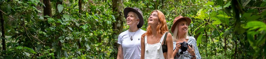 Three women wearing hats and carrying cameras looking around the Cairns rainforest