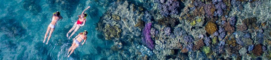 Three poeple snorkelling drone shot with coral reefs