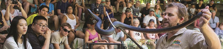 Man holding black python with a crowd