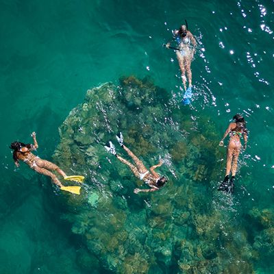 A group of four people in the water snorkelling
