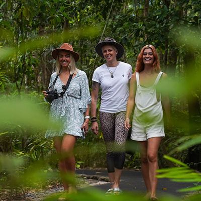 Three people walking through forests in Cairns