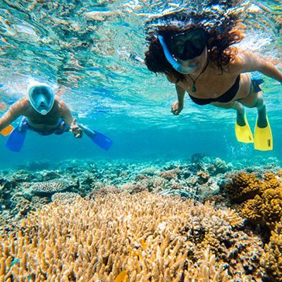 Two people snorkelling the Great Barrier Reef