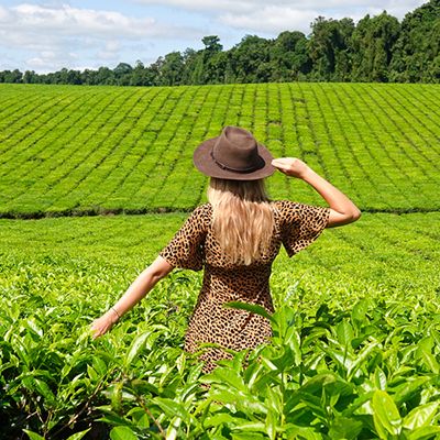 Woman in the tea plantations in Cairns