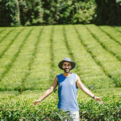 Man standing in a tea plantation field