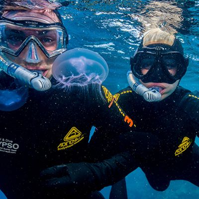 Two people snorkelling with a jellyfish