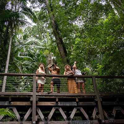 Four travellers in the rainforest on K'gari pointing and taking photos