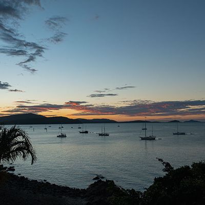 Whitsundays region, Airlie Beach lagoon at sunset with boats and palms silhouetted 