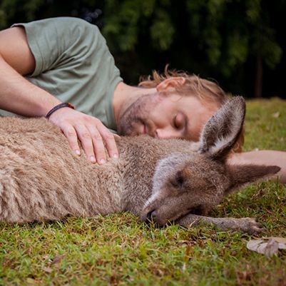Man patting a kangaroo at Australia Zoo