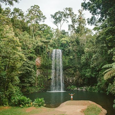 Millaa Millaa Falls, Cairns