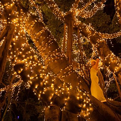 Woman in a tree covered in twinkle lights
